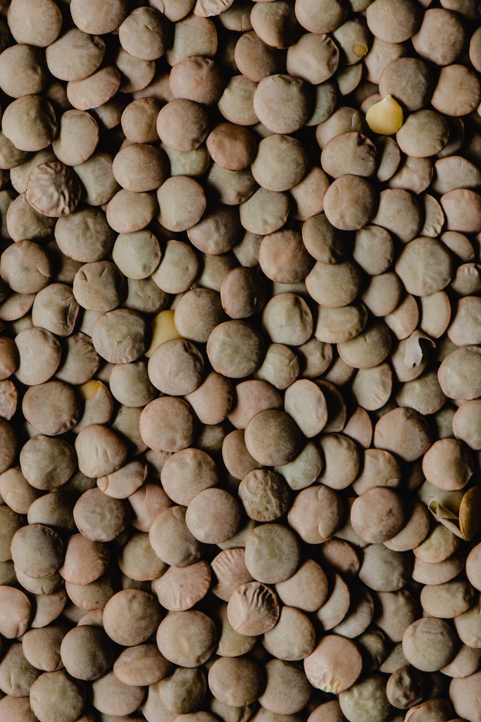 Lenticchie