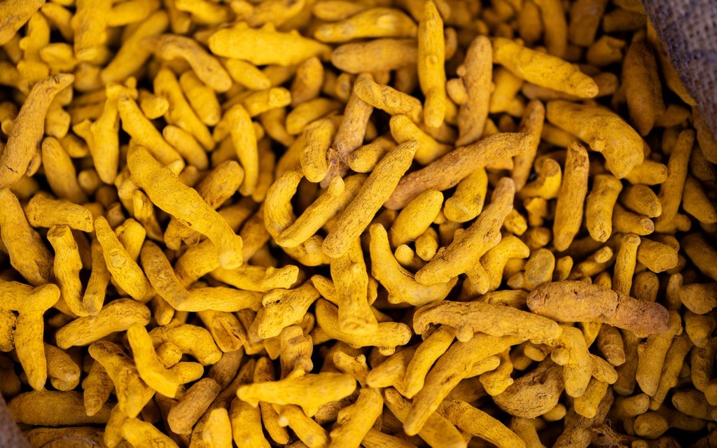 Curcuma