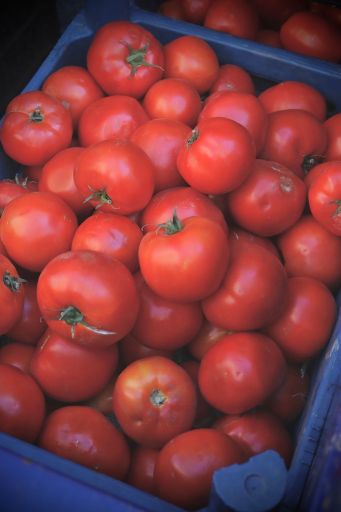 Pomodori