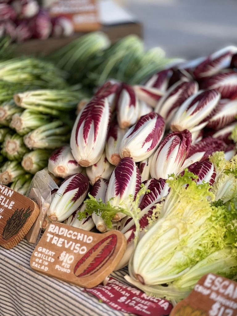 Radicchio