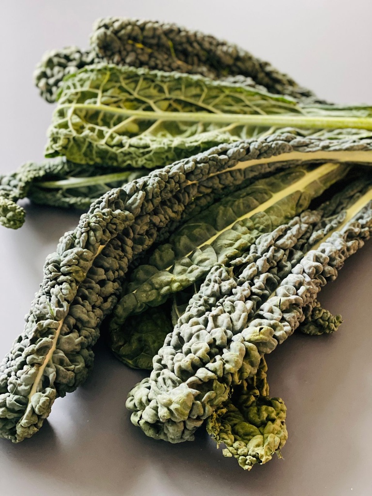 Cavolo nero