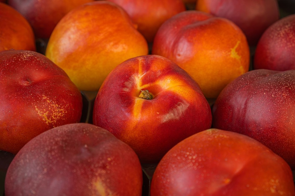 Nocipesche (pesche noci)
