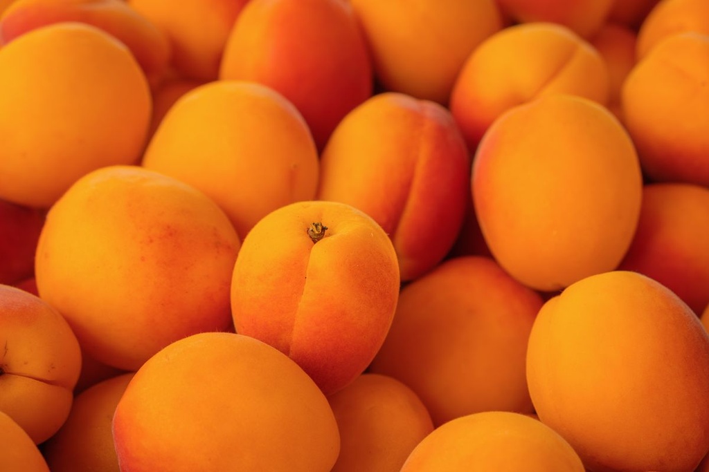 Albicocche fresche