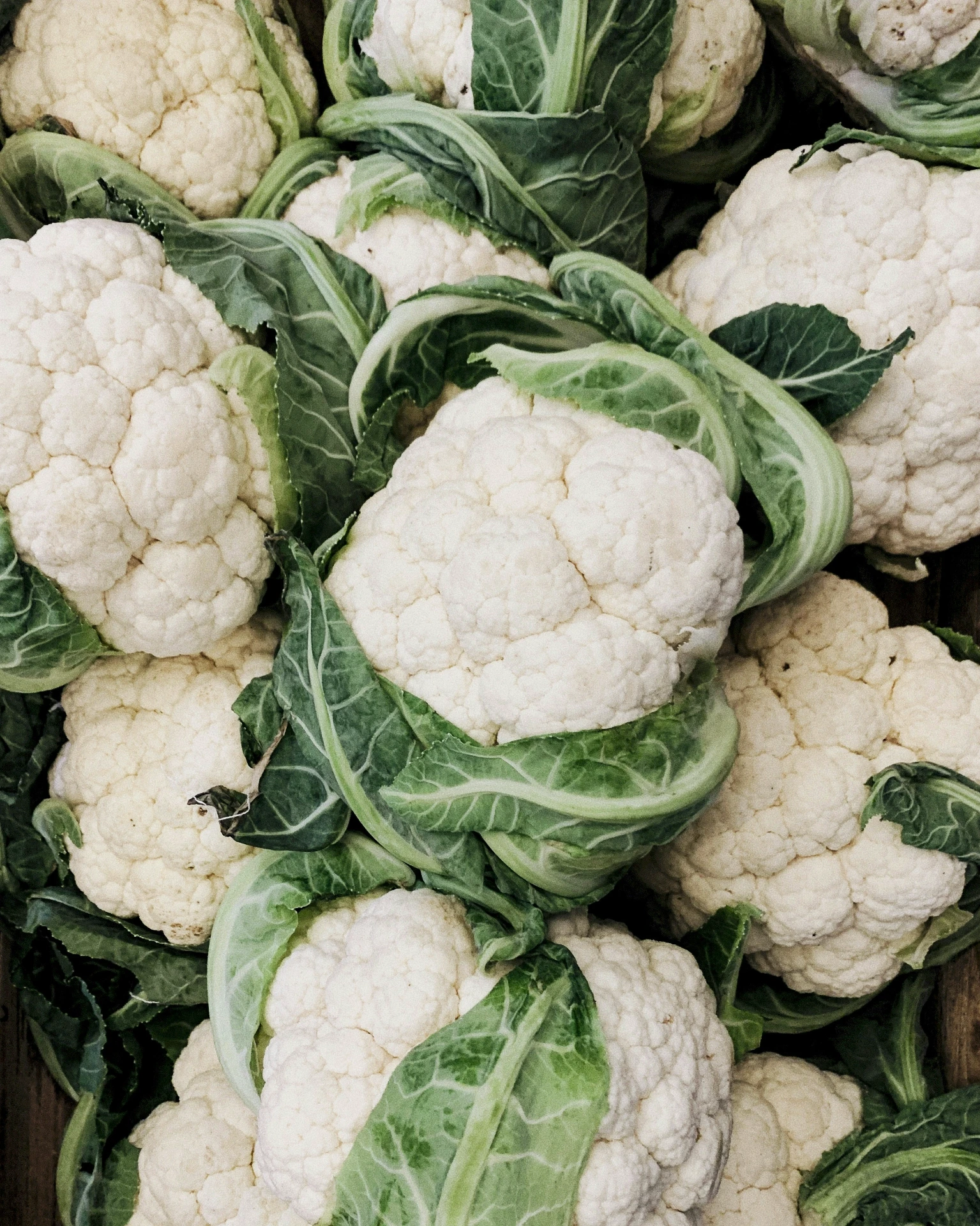 Cavolfiori