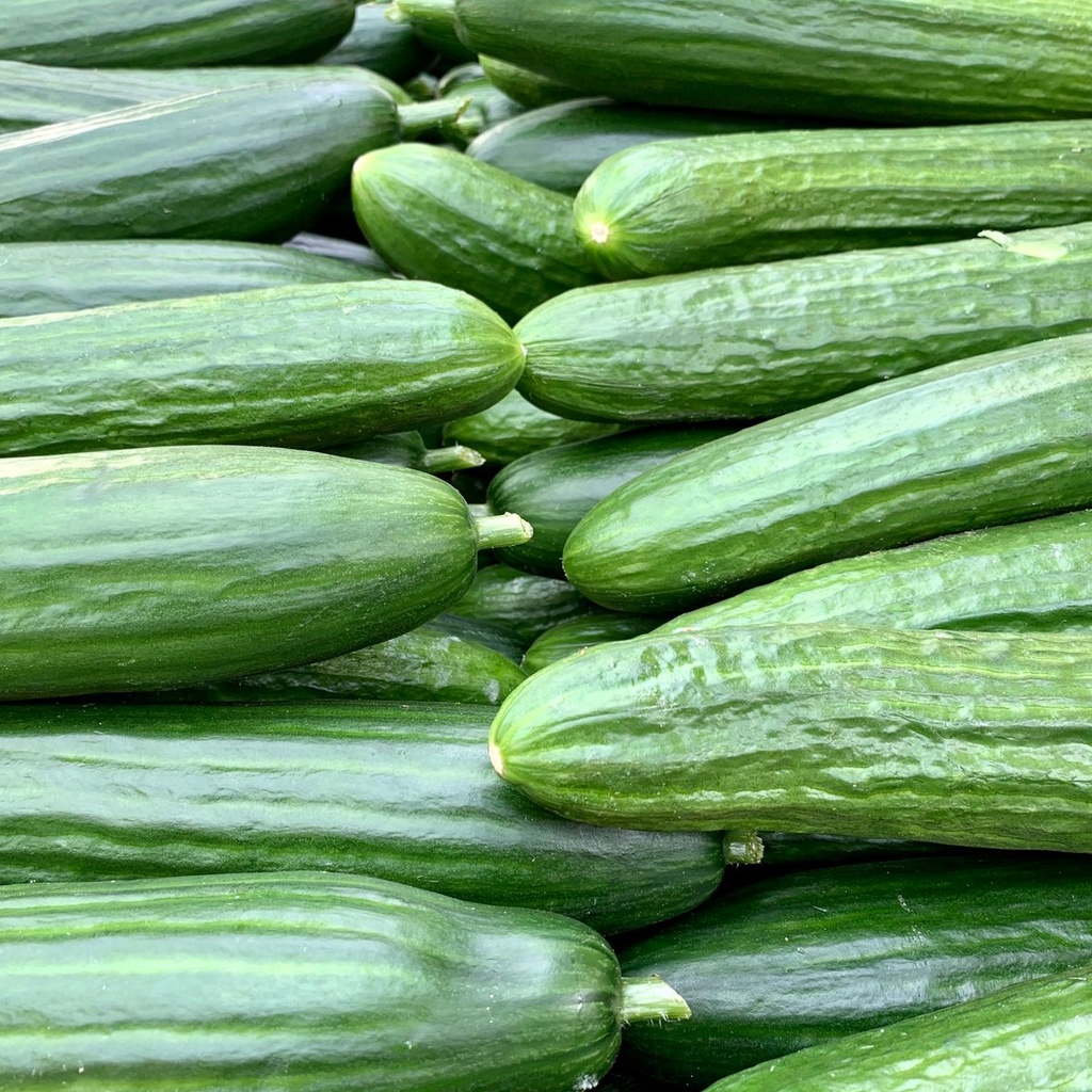 Cetrioli