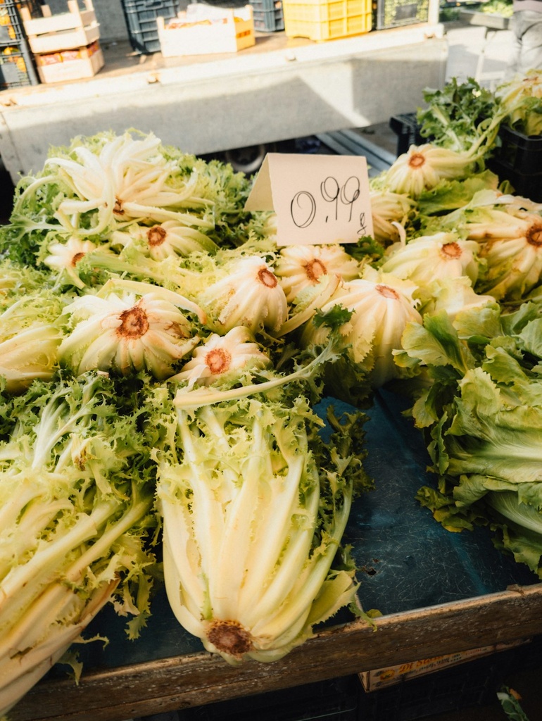 Insalata riccia
