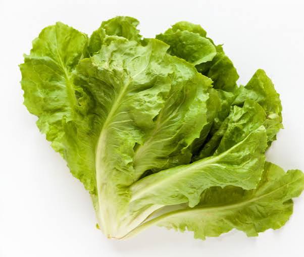Scarola