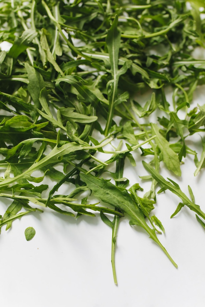 Rucola