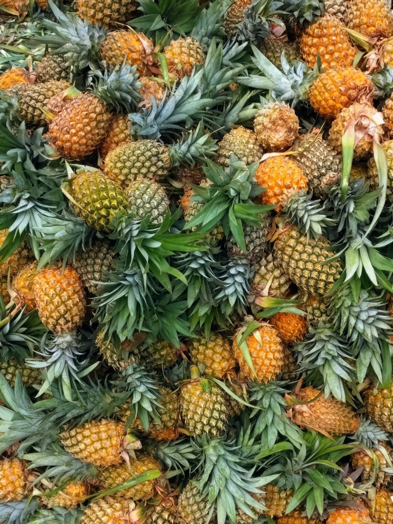 Ananas