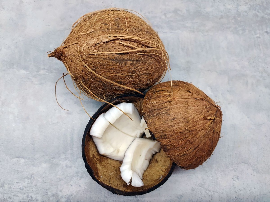 Cocco