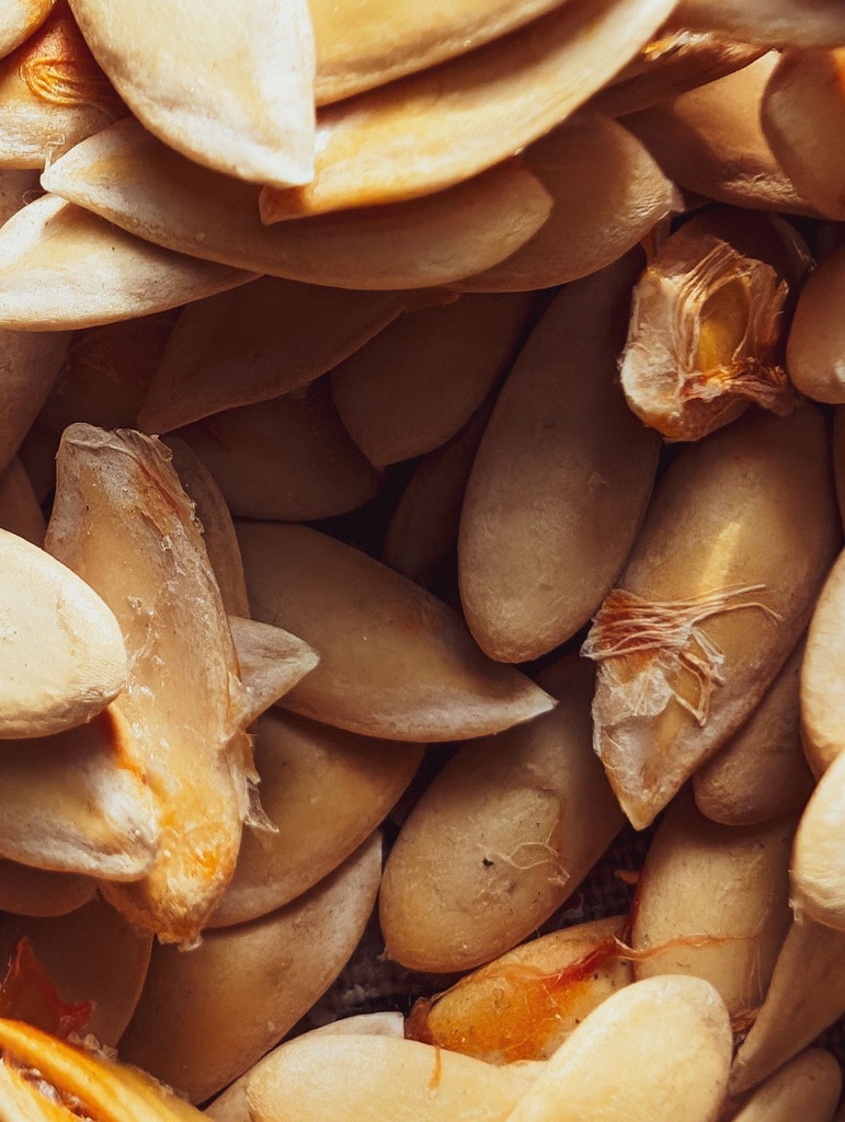 Semi di zucca